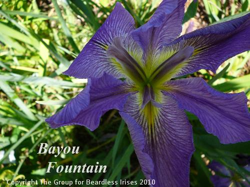 Bayou Fountain 